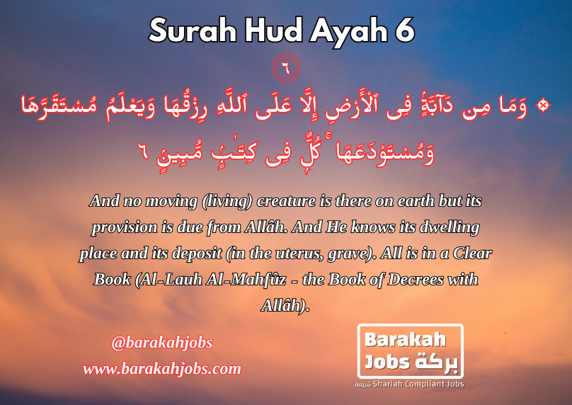 Surah Hud Ayah 6 blog post_926.png